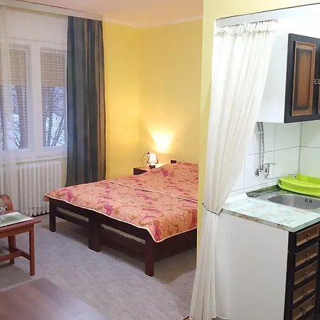 Apartment Roxana Centar Novi Sad