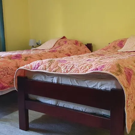 Apartment Roxana Centar